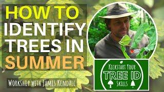 How To Identify Trees in Summer (online workshop)