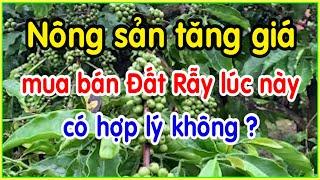 nông sản tăng giá mua bán đất rẫy lúc này có hợp lý không ?