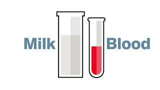 What is Sample-Based Bovine Pregnancy Testing?