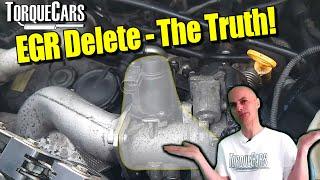 EGR Delete/EGR Removal - Worth The Risk/Effort? All You Need To Know About EGR Deletes.