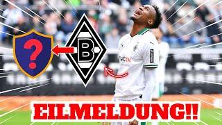 EILMELDUNG! WECHSEL EINES WICHTIGEN SPIELERS BESTÄTIGT?! Neuigkeiten von BORUSSIA M'GLADBACH Heute!