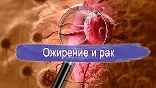 Провокаторы рака. Рак и ожирение. Ожирение и рак.