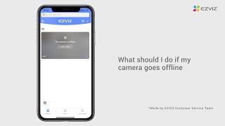 What should I do if my camera goes offline