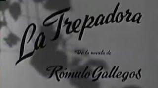 La Trepadora