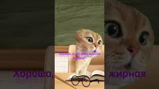 А что даёт жирная корова? (Чуть-чуть не звук) #котики #котикитоп #cat