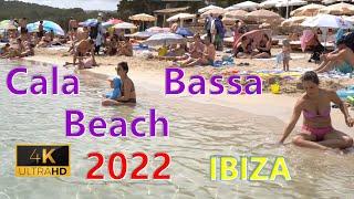 Cala Bassa Nice Clean Beach IBIZA | 2022 June, Spain