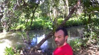 Swimming in fresh water creek, near Krabi and Ao Nang Thailand December 2018