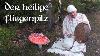 Der heilige Fliegenpilz (Allsherjargode 44)