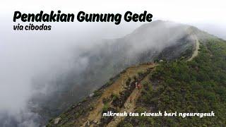 Pendakian Gunung Gede via Cibodas | Jangkrik Petualang | Gunung Gede Pangrango Jawa Barat