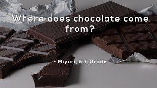Where does chocolate come from?
