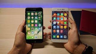 iPhone 8 Plus iOS 11 vs Redmi 5A MIUI 9 Nougat 7.1.2