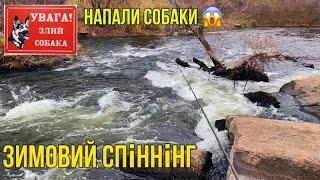 Зимовий Спіннінг в Центрі Міста. Напали дикі Собаки 