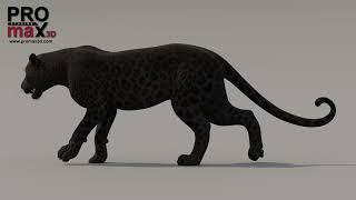 Animated Black Panther 3D Model | @PROmax3D