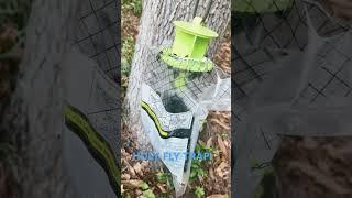 Outdoor disposable fly trap. Works better than expected! #flytrap #flies #bugs #pestcontrol #shorts