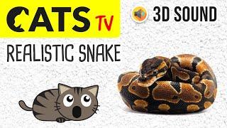 CATS TV - Catching Realistic Snake  3 HOURS (Game for cats to watch)