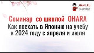 Учеба в Японии в 2024 году. Бюджетные цены.