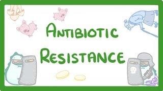 GCSE Biology - What is Antibiotic Resistance? Why Antibiotic Resistance is a HUGE issue