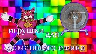 Игрушки для ежика. Какие можно?