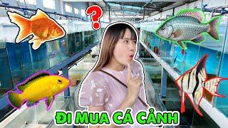 Lạc Vào Trang Trại Cá Cảnh Lớn Nhất Sài Gòn - Vê Vê Channel