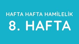 8.Hafta - Hafta Hafta Gebelik - Hamilelik | Anneysen.com