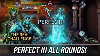 I Guarantee You'll Get PERFECT In All Rounds!  Best Combo to Beat (Hard) Stranger - Shadow Fight 3