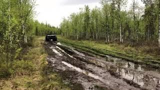 Каракат Кобра. Переломка. Болотоход. Каракат/ тестируем на небольшом бездорожье/ 2019