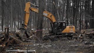 Clearing Trees with an Excavator // Hamburg Day 2