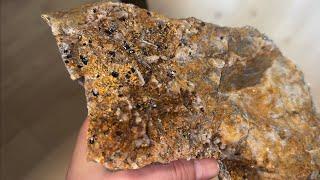 【鉱物採集】石英中の錫石 (Cassiterite in quartz)