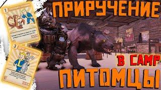 Fallout 76: Приручение Питомцев ГАЙД,ПЕРК