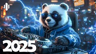 Music Mix 2025  Top Hits Remixes & Bass Boosted Of Popular SongsHigh-Energy Bass Boosted Party Mix