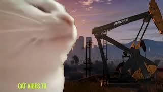 Cat Vibes To GTA V main theme