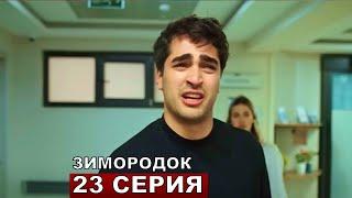 ЗИМОРОДОК 23 серия русская озвучка турецкий сериал