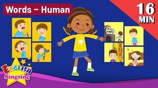 Kids vocabulary Theme "Human" - Action verbs, Body, Feel - Words Theme collection - Learn English