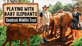 A Must Visit In Nairobi Kenya: Sheldrick Wildlife Trust | Full Guide