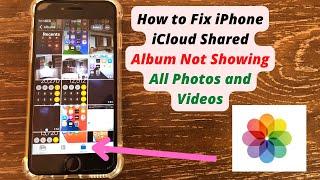 How to Fix iPhone iCloud Shared Album Not Showing Photos and Videos in iOS 15?