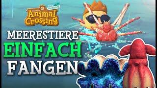 Die TEUERSTEN Meerestiere EINFACH fangen! (Meerestiere-Rangliste) | Animal Crossing New Horizons 