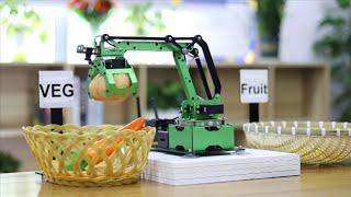 JetMax AI Robot Arm Fruit & VEG Sorting