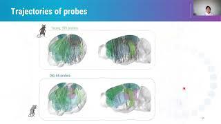 2024 3.4.4 The IBL brainwide map: effect of age (Zang)