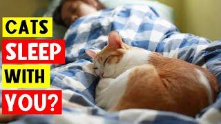 Why Your Cat Sleeps with You EVERY NIGHT: 9 Surprising SCIENTIFIC Reasons