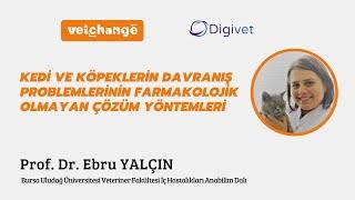 Kedi,Köpeklerin Davranış Problemlerinin Farmakolojik Olmayan Çözüm Yöntemleri Prof. Dr. Ebru Yalçın