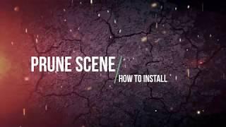 Prune Scene   How to install