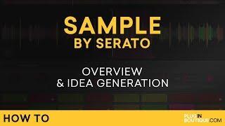 Serato Sample VST Plugin Review | Sample Tutorial in Ableton Live