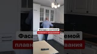 Кухни на заказ. Фасады с системой плавного закрывания.