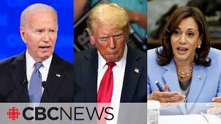 Biden or Harris? Trump asks rally crowd as pressure mounts for Biden to exit race