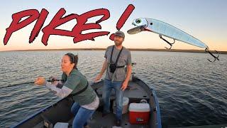 Chasing BIG Fish on a GIANT Lake