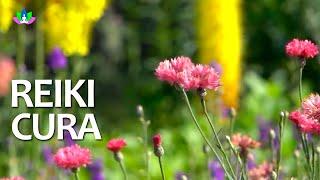 Reiki Cura, Relaxamento, Limpa Energias Negativas e Acalma a Mente