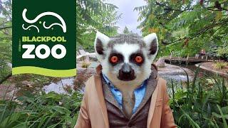 i visit Blackpool Zoo One of the UK's top animal parks in 2024