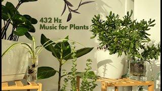 432 Hz Frequency Music for Plants; Deep Healing Music To Stimulate Plant Growth