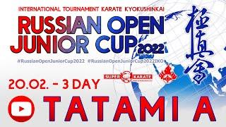 «Russian Open Junior Cup - 2022». ТАТАМИ A  (3 день)