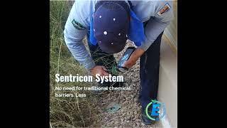 Essential Pest Control- Tucson Termite Elimination Experts